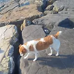 Plan B Империя